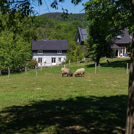 Cozy Forest Near Klingen Trail Semesterbostad
