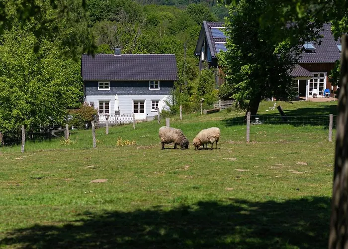 Cozy Forest Near Klingen Trail 펜션